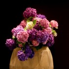 季節の装花　　紫陽花